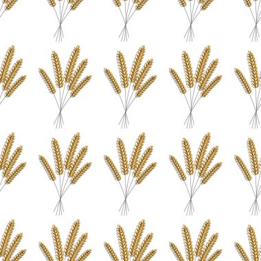 Seamless modeli. Vektör çizim. Tarım buğday arka plan vektör simge illüstrasyon tasarım