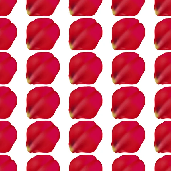 Červená Růže Okvětní Lístky Bezešvé Vzor Bílém Pozadí Vektorové Ilustrace — Stockový vektor