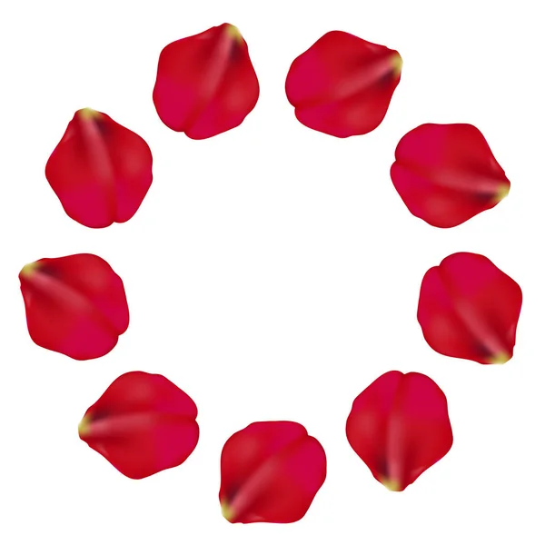 Beau Motif Cercle Pétales Rouges Sur Fond Blanc Illustration Vectorielle — Image vectorielle