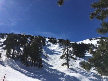 Dağ kayak merkezi - doğa ve spor arka plan. Kıbrıs Troodos.