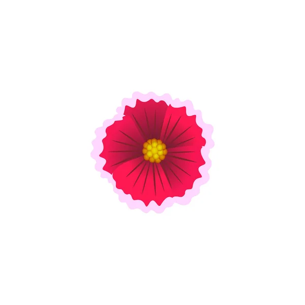 Hermosa flor de clavel aislada sobre fondo blanco. Ilustración vectorial . — Vector de stock