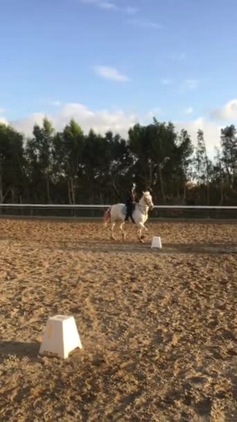 Horse riding on rancho. Horse riding lesson. A girl teenager rider and horse. A horse with a rider rides. Allure gallop. Horseback riding. — Stock Video
