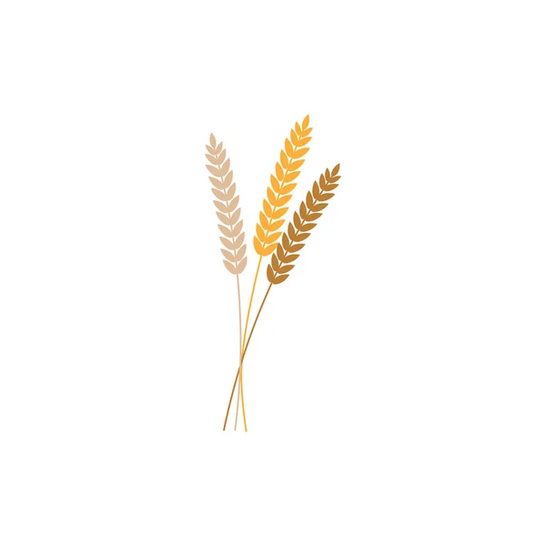 Vector illustration of wheat, rye or barley ears whole grain, black silhouette symbol icon isolated on white background. — Stock Vector