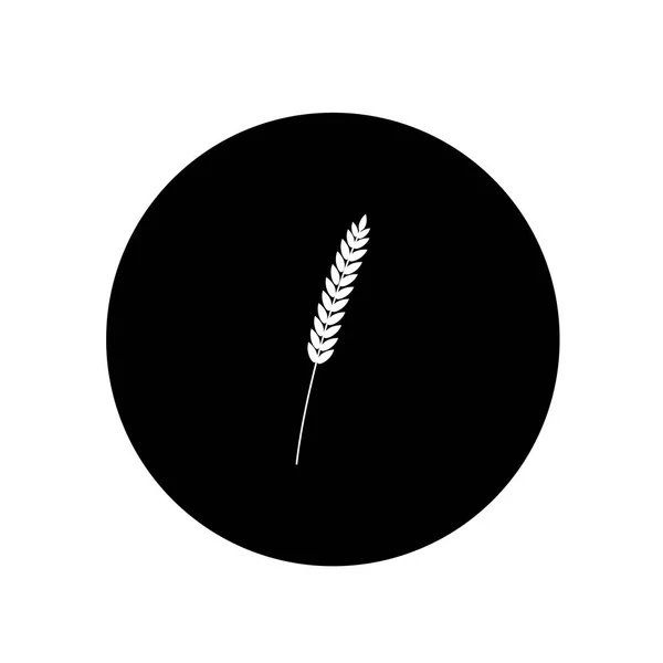 Vector illustration of wheat, rye or barley ears whole grain, white silhouette symbol icon isolated on round black background. — Stock Vector