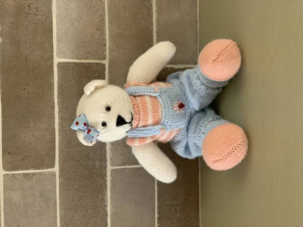 Вязанный милый плюшевый медвежонок игрушка в костюме сидит на столе . — стоковое фото