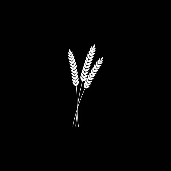 Векторная иллюстрация пшеницы, ржи или ячменя белый силуэт пшеницы, ржи или ячменя изолированы на черном фоне . — стоковый вектор