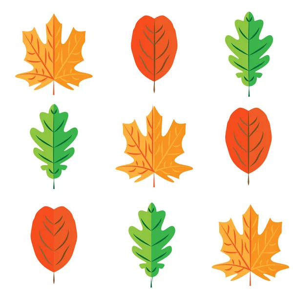 Naadloze kleurrijke geschilderde bladeren patroon op witte achtergrond. — Stockvector
