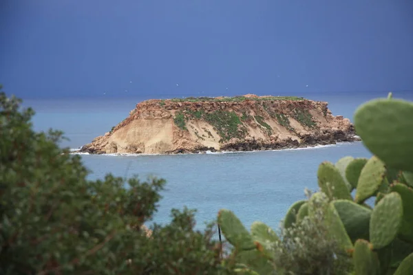 A view of the sea and tropical island with cactus in the foreground before the storm with dark blue clouds approaching the island — Stock Photo, Image