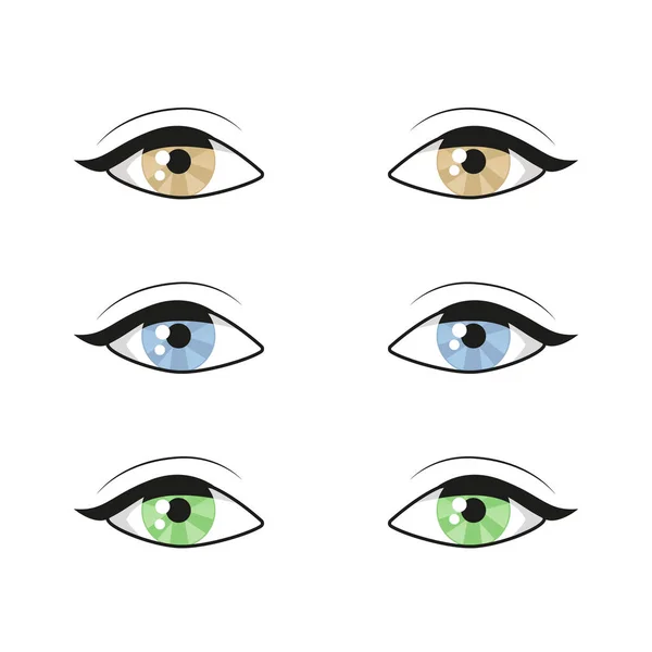 Azul marrom verde Olhos no fundo branco. Olhos de mulher. O logótipo dos olhos. Conjunto de olhos humanos close up ilustração vetorial —  Vetores de Stock