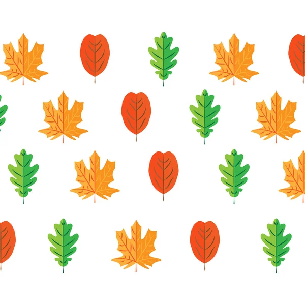 Autumn leaves set, isolated on white background. simple cartoon flat style, vector illustration. — Stock Vector