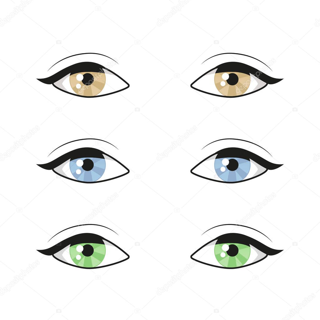 Blue brown green Eyes on white background. Woman eyes. The eyes logo. Human set eyes close up vector illustration