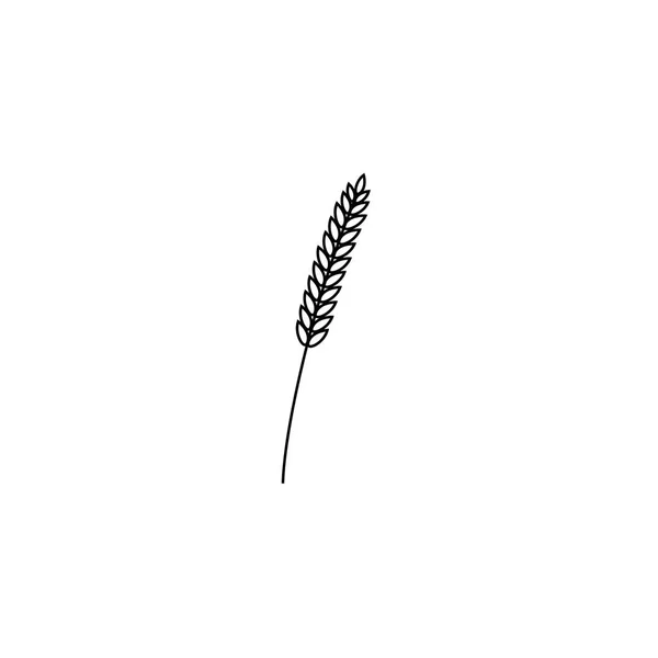 Vektorová ilustrace celých zrn pšenice, žita nebo ječmene, ikona symbolu černé čáry izolované na bílém pozadí. — Stockový vektor