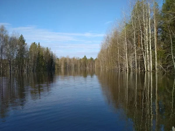 Ein frühlingshaftes Süßwasser an einem kleinen Waldfluss. Liegeplatz: komi republik russland — Stockfoto