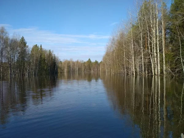 Un frescor primaveral en un pequeño río forestal. Ubicación: Komi republic Russia — Foto de Stock