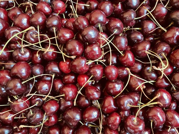 Primo piano di mucchio di ciliegie mature con steli. Ampia collezione di ciliegie rosse fresche. Dolci ciliegie rosse biologiche — Foto Stock