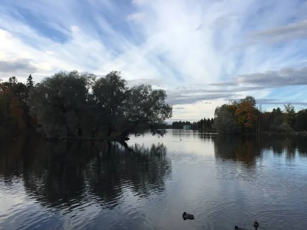 Schöne Herbstlandschaft Teich im Herbst, gelbe Blätter, Reflexion — Stockfoto