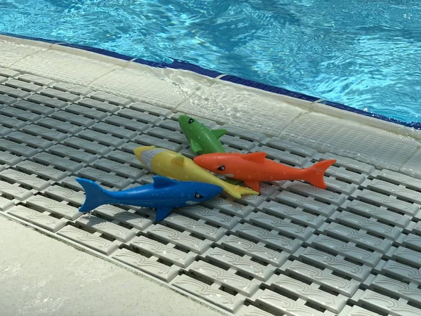 Іграшки риби біля басейну з готелю — стокове фото