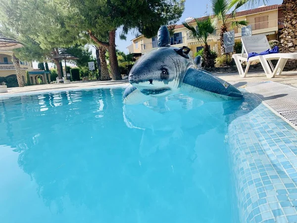pool toy shark inflatable in swimming poo