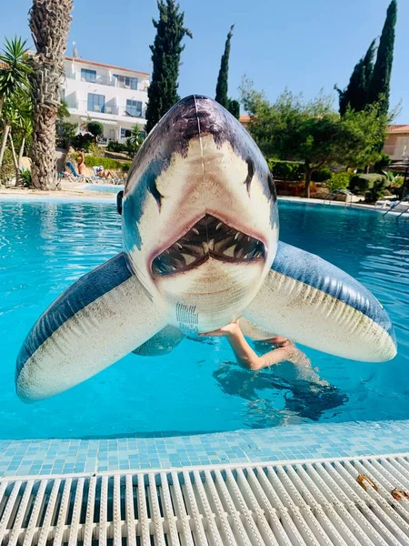 pool toy shark inflatable in swimming pool in hand with boy
