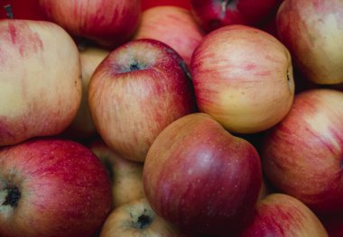 Taze meyve, hasat. Elmalar kırmızı, sarı ve yeşildir..