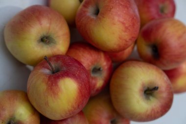 Taze meyve, hasat. Elmalar kırmızı, sarı ve yeşildir..