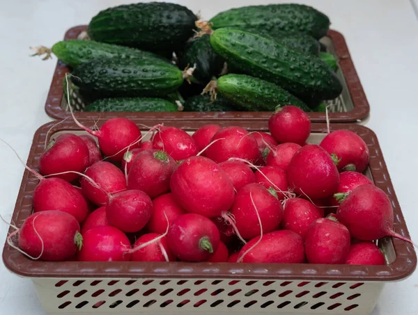 Zöldségek Konyhában Növényi Szeletelés Rózsaszín Érett Retek Friss Zöld Uborka — Stock Fotó