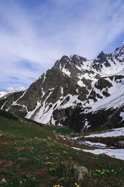 Camina Por Parque Nacional Rusia Archyz Valle Del Río Los — Foto de Stock