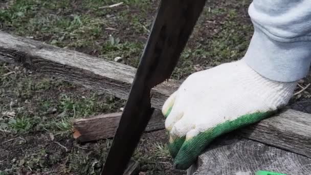 Een Arbeider Handschoenen Zaagt Planken Met Een Handzaag Zijaanzicht Gereedschap — Stockvideo