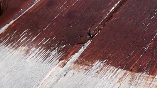 Dělník Namaluje Plot Štětcem Otevřete Dřevěnou Podlahu Lakem Mahogany Imitace — Stock video