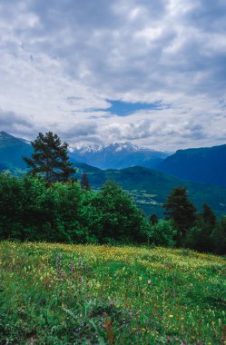 Georgia Dağları. Mestia, Alp çayırları. Ulusal park. Bulutlu gökyüzü, uzaktaki karlı dağlar ve önplanda yeşil bir orman ve çiçekli bir çayır..