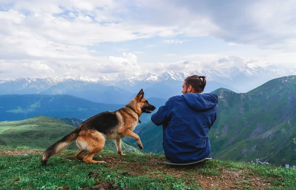 Koruldi 'nin dağ gölleri. Kafkas dağları. Karlı dağların zirveleri bir ayna gibi dağ gölüne yansıyor. Bir gezgin ve bir köpek dağlarda oturuyorlar, Georgia, Svaneti. Alman çoban köpeğini gezdir..