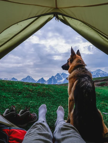 Prachtig Uitzicht Vanuit Tent Berg Sneeuwtoppen Bergen Van Kaukasus Georgië — Stockfoto