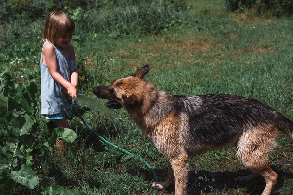 Rapazinho Brinca Com Cão Regando Com Uma Mangueira Uma Criança — Fotografia de Stock