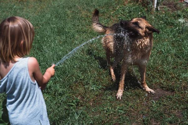 Rapazinho Brinca Com Cão Regando Com Uma Mangueira Uma Criança — Fotografia de Stock