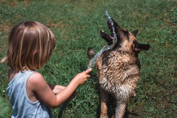 Rapazinho Brinca Com Cão Regando Com Uma Mangueira Uma Criança — Fotografia de Stock