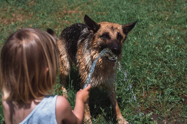 Rapazinho Brinca Com Cão Regando Com Uma Mangueira Uma Criança — Fotografia de Stock