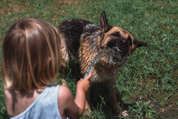 Rapazinho Brinca Com Cão Regando Com Uma Mangueira Uma Criança — Fotografia de Stock