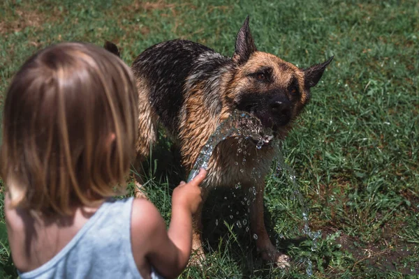 Rapazinho Brinca Com Cão Regando Com Uma Mangueira Uma Criança — Fotografia de Stock