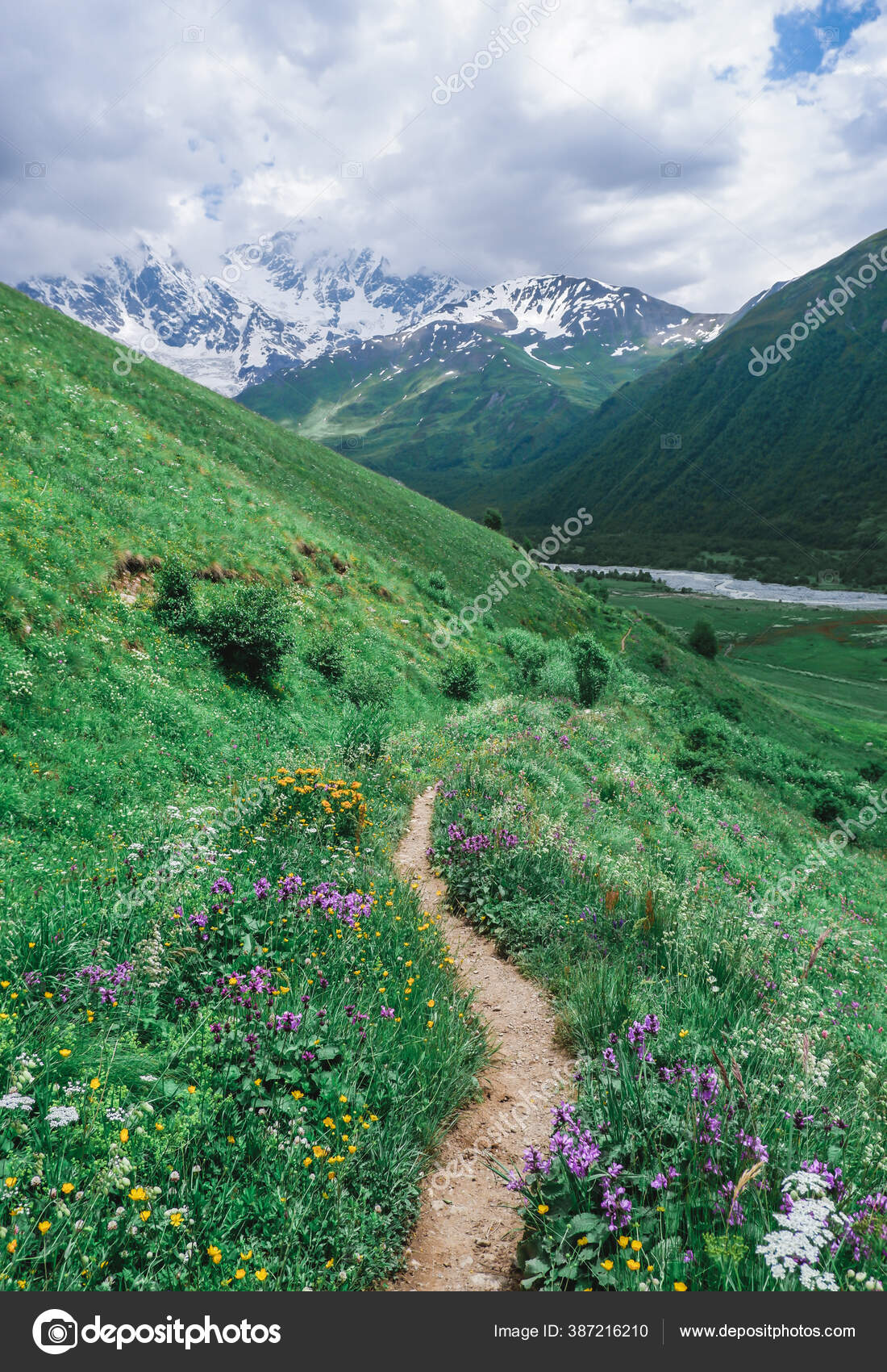 Path Mountains Georgia Svaneti Walking Route Village Ushguli Beautiful Wildflowers Stock Photo Image By C Lightman Pic 387216210