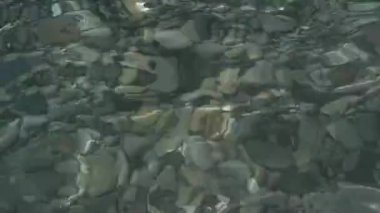 En temiz deniz suyu, en iyi manzara. Çakıl taşı plajı, deniz kıyısı. Karadeniz kıyısı, Rusya.