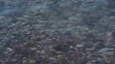 En temiz deniz suyu, en iyi manzara. Çakıl taşı plajı, deniz kıyısı. Karadeniz kıyısı, Rusya.