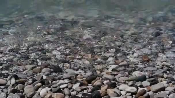 Břehu Valí Malé Vlny Oblázková Pláž Letní Dovolená Čisté Klidné — Stock video
