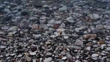 Küçük dalgalar kıyıya vuruyor. Pebble plajı, yaz tatili. Tatilde denizde temiz ve sessiz. Karadeniz kıyısı, Rusya.