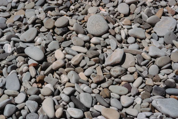 Pietre Marine Spiaggia Ghiaia Costa Del Mar Nero Una Spiaggia — Foto Stock