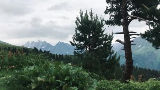 Panoramiczny Widok Ośnieżone Szczyty Kaukazu Zielona Malownicza Dolina Pochmurną Pogodę — Wideo stockowe
