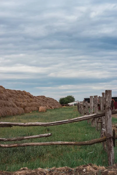 Straw Stacks Haystacks Lie High Pile Food Cattle Horses Wheat — Stock Photo, Image