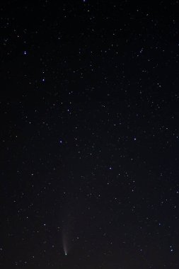Kara yıldızlı gökyüzünde Neowise Kuyruklu Yıldızı. Gece gökyüzü, uzay. Geceleri kuzey yarımkürenin gökyüzü, çeşitli takımyıldızlar, kuyruklu yıldızlar ve kozmik gök cisimleri..