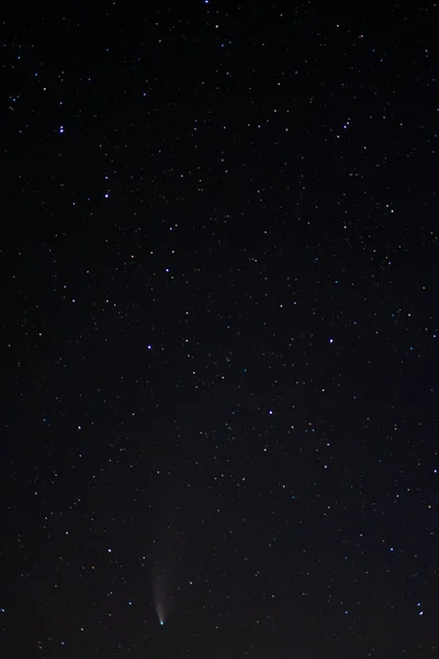 Kara yıldızlı gökyüzünde Neowise Kuyruklu Yıldızı. Gece gökyüzü, uzay. Geceleri kuzey yarımkürenin gökyüzü, çeşitli takımyıldızlar, kuyruklu yıldızlar ve kozmik gök cisimleri..