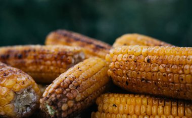 Ateşte kızartılmış mısır. Sıcak mısır ızgarası. Vejetaryenler için sağlıklı yiyecekler. Bir mısır kulağı..