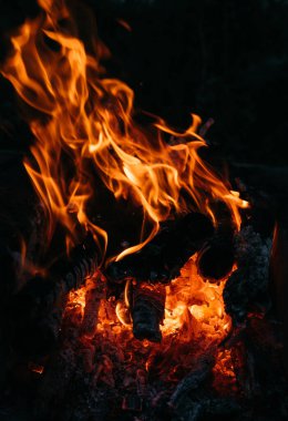 Ateşin parlak kırmızı alevleri. Kül ve kömür. Karanlık bir arka planda alevler. Sıcak kömür, barbekü yeri. Ateşin yanında açık hava eğlencesi..